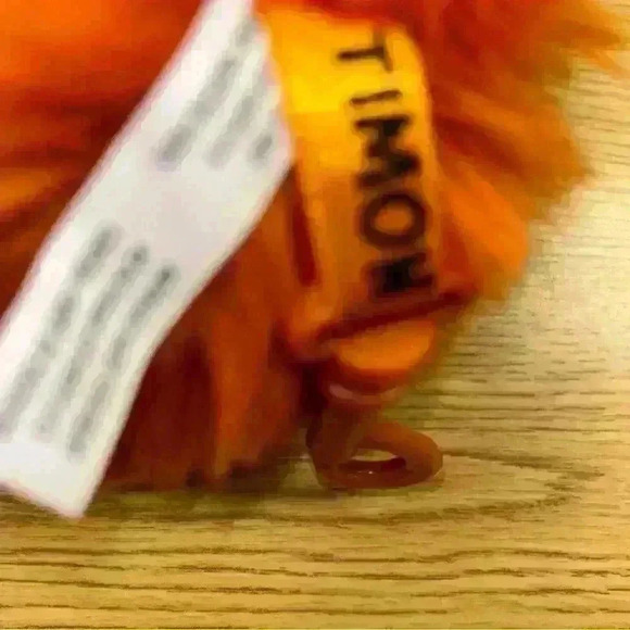 Timon Clip on with Book - Picture 2 of 4